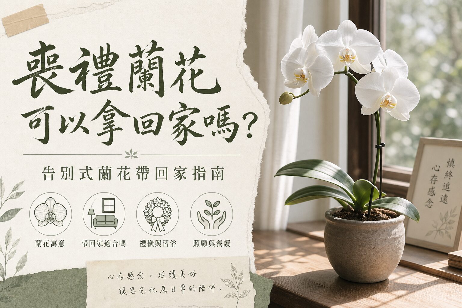 喪禮蘭花帶回家處理指南